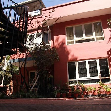 Ojas Wellness B&B Lalitpur 外观 照片