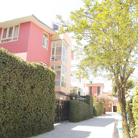 Ojas Wellness B&B Lalitpur 外观 照片