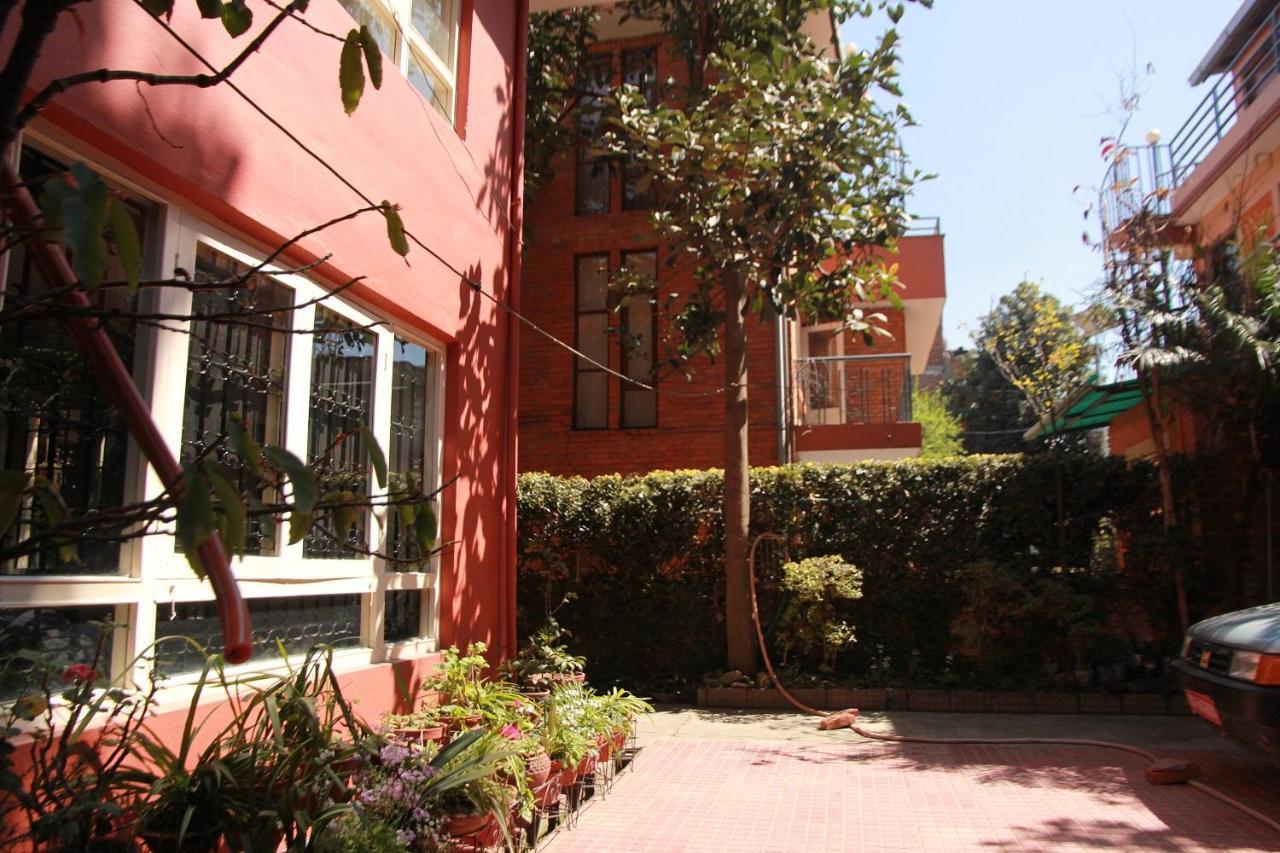 Ojas Wellness B&B Lalitpur 外观 照片