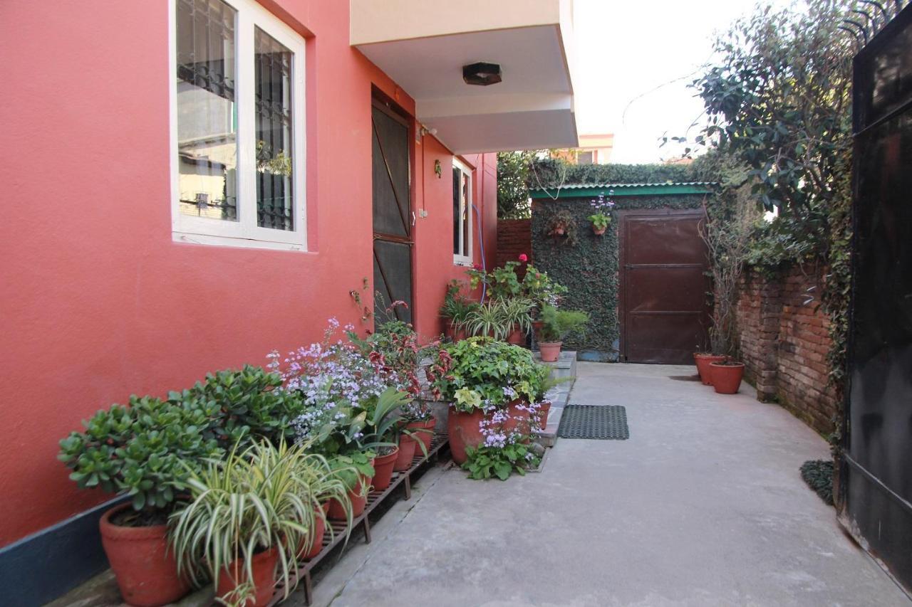 Ojas Wellness B&B Lalitpur 外观 照片