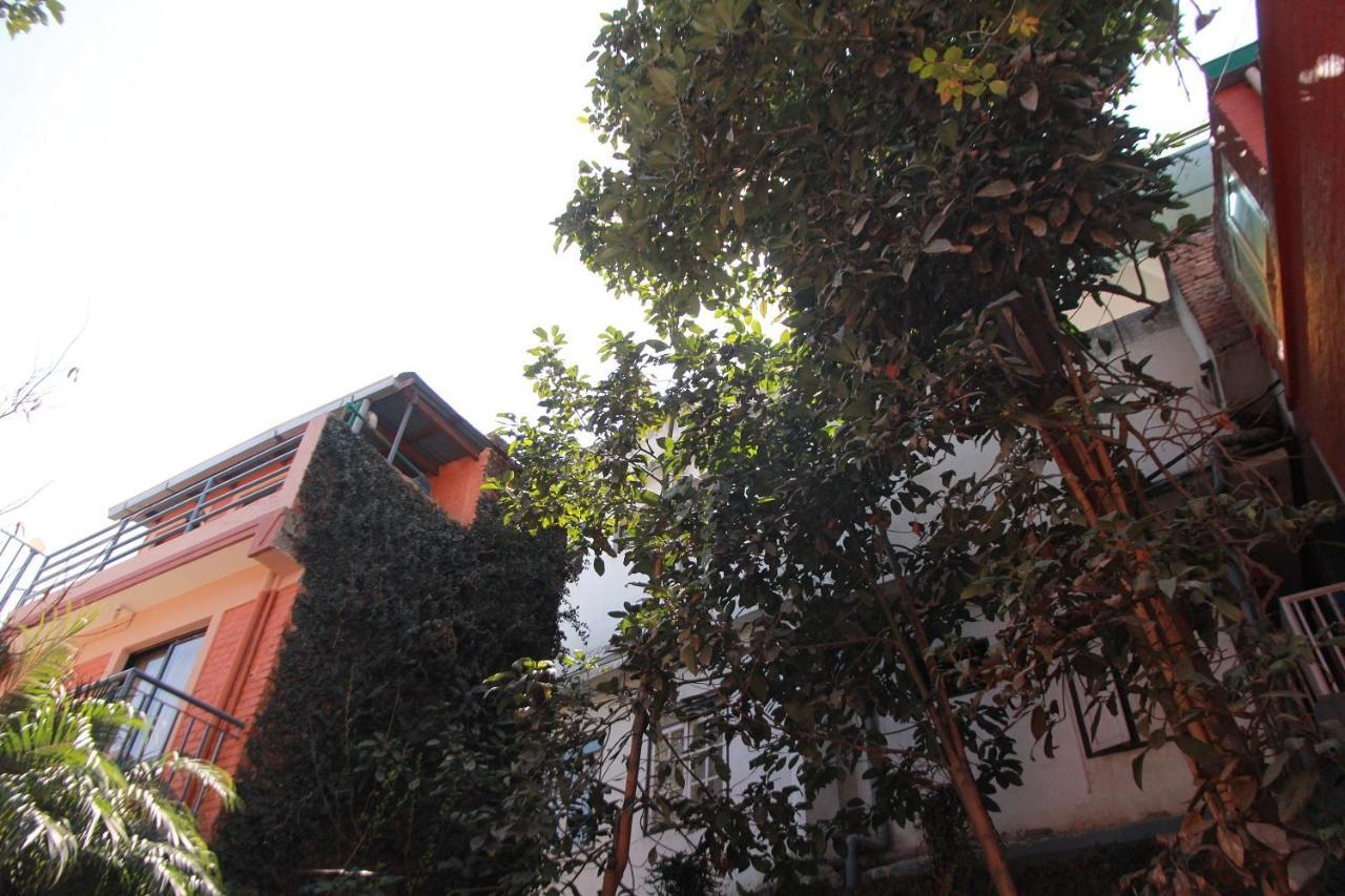 Ojas Wellness B&B Lalitpur 外观 照片